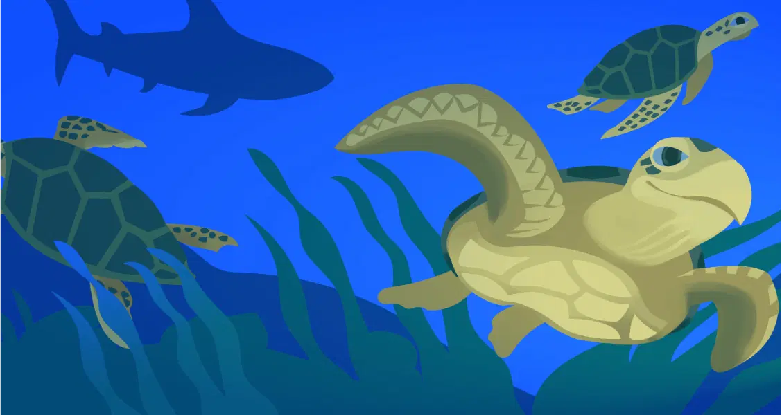 Una ilustración de una tortuga marina nadando bajo el agua, acompañada por una tortuga más pequeña, una tortuga más grande y un tiburón distante. Al fondo se ven algas.