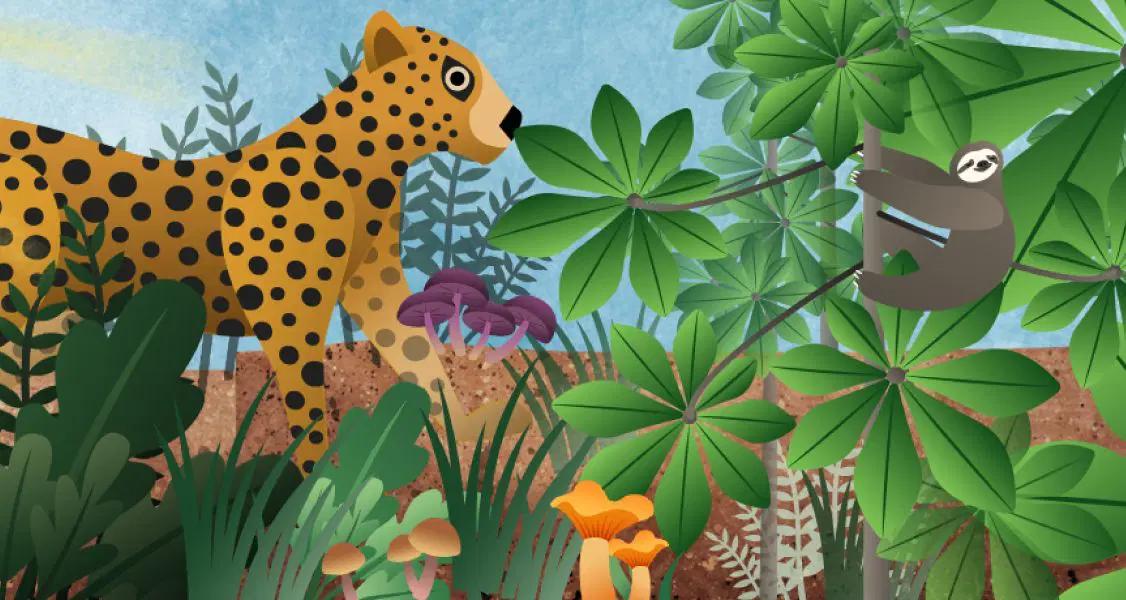 Ilustración de una escena de la jungla en la que aparecen un guepardo y un perezoso entre un denso follaje verde y varias plantas coloridas.