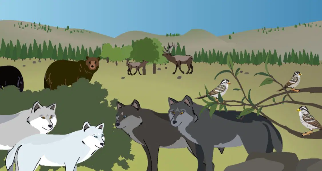 Ilustración de una escena de bosque con un oso, un alce, pájaros en una rama y un grupo de lobos en primer plano. Las colinas y los árboles están al fondo bajo un cielo despejado.