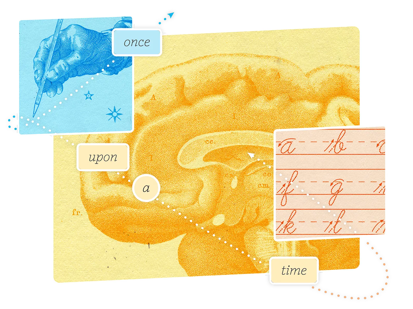 Ilustración de un cerebro con elementos vintage: una mano escribiendo "once", letra cursiva "time" y secciones etiquetadas "upon" y "a" conectadas por líneas de puntos.