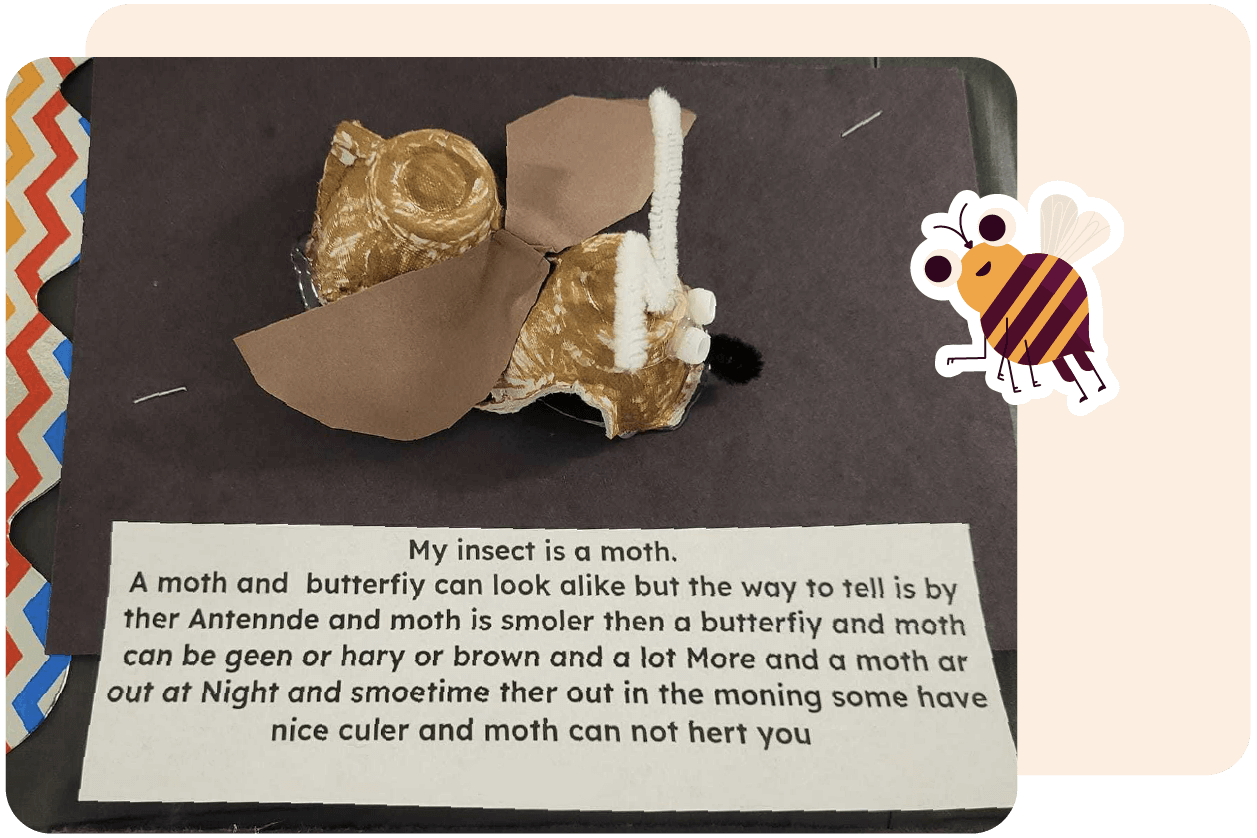 A craft depicting a moth made from egg cartons, with handwritten text describing differences between moths and butterflies.