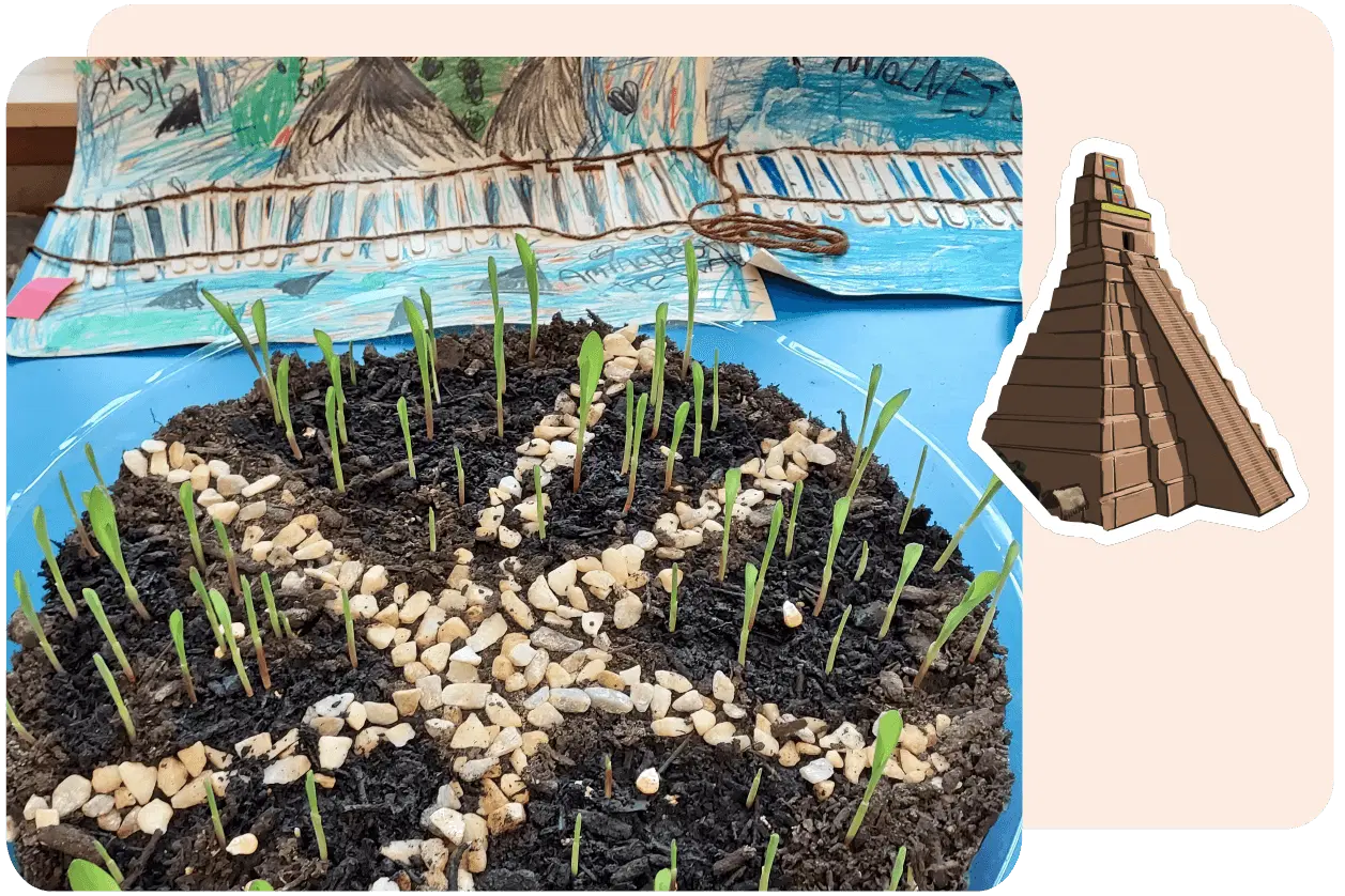 Young plants growing in soil arranged in a circular pattern, surrounded by small rocks, with a drawing of huts and a stepped pyramid illustration in the background.