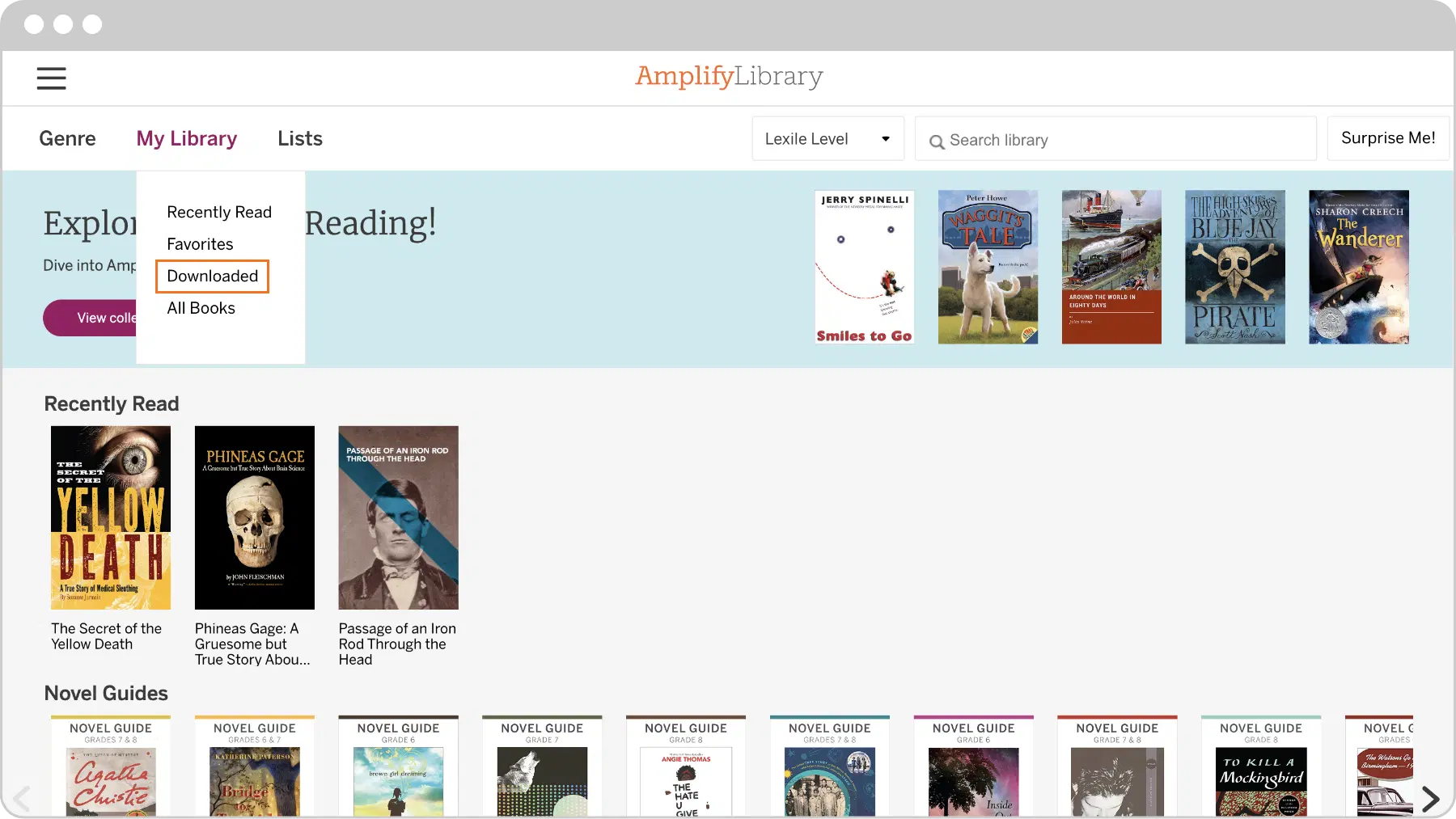 An online library interface showing a section labeled "Currently Reading" with a book cover displayed, and thumbnails of recently read books and novel guides below.