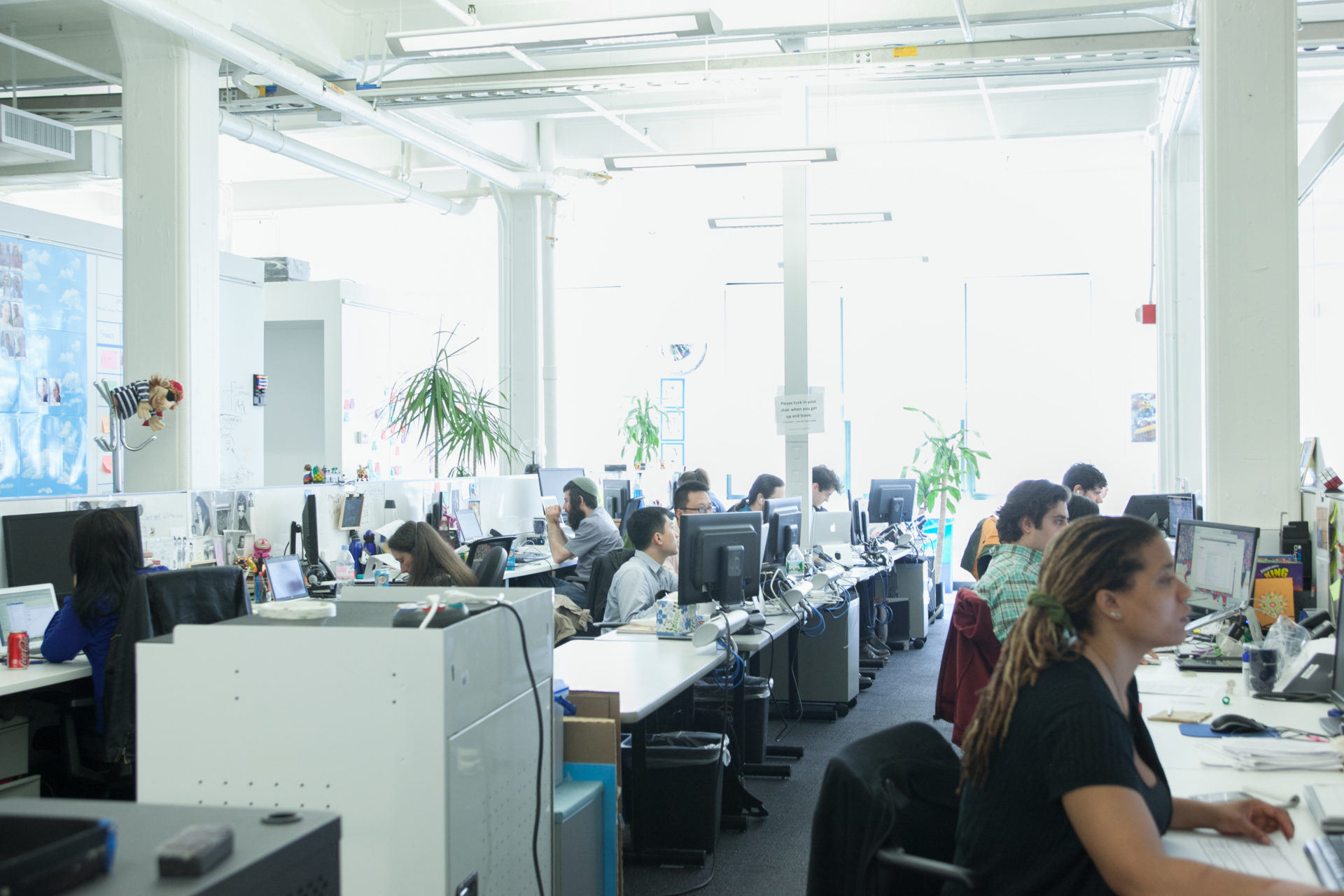 A brightly lit open office space with people working at desks, using computers. Plants are placed around the room, and a large screen is visible on the wall.