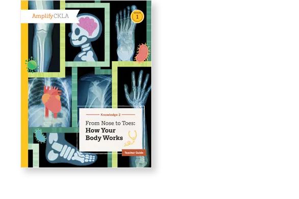 Book cover titled "From Nose to Toes: How Your Body Works" featuring X-ray images of body parts.