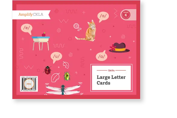 Red cover with illustrations of a cat, insects, fruit bowl, and hat. Label reads "Skills Large Letter Cards" for Grade K. Various phonetic symbols and patterns are scattered around.