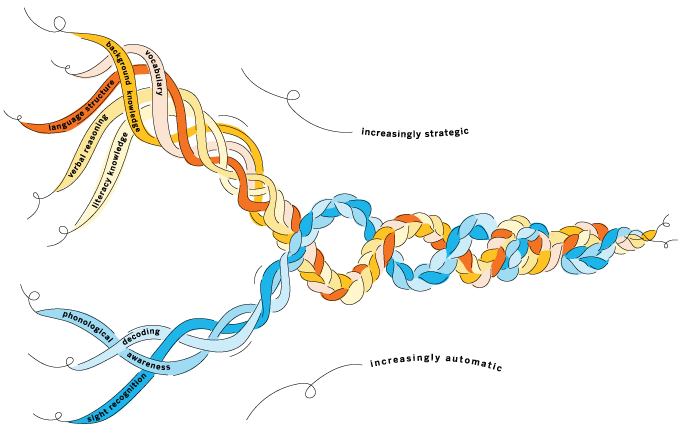 A multicolored braid diagram shows strands labeled with reading skills, becoming more intertwined from “increasingly strategic” to “increasingly automatic.”.