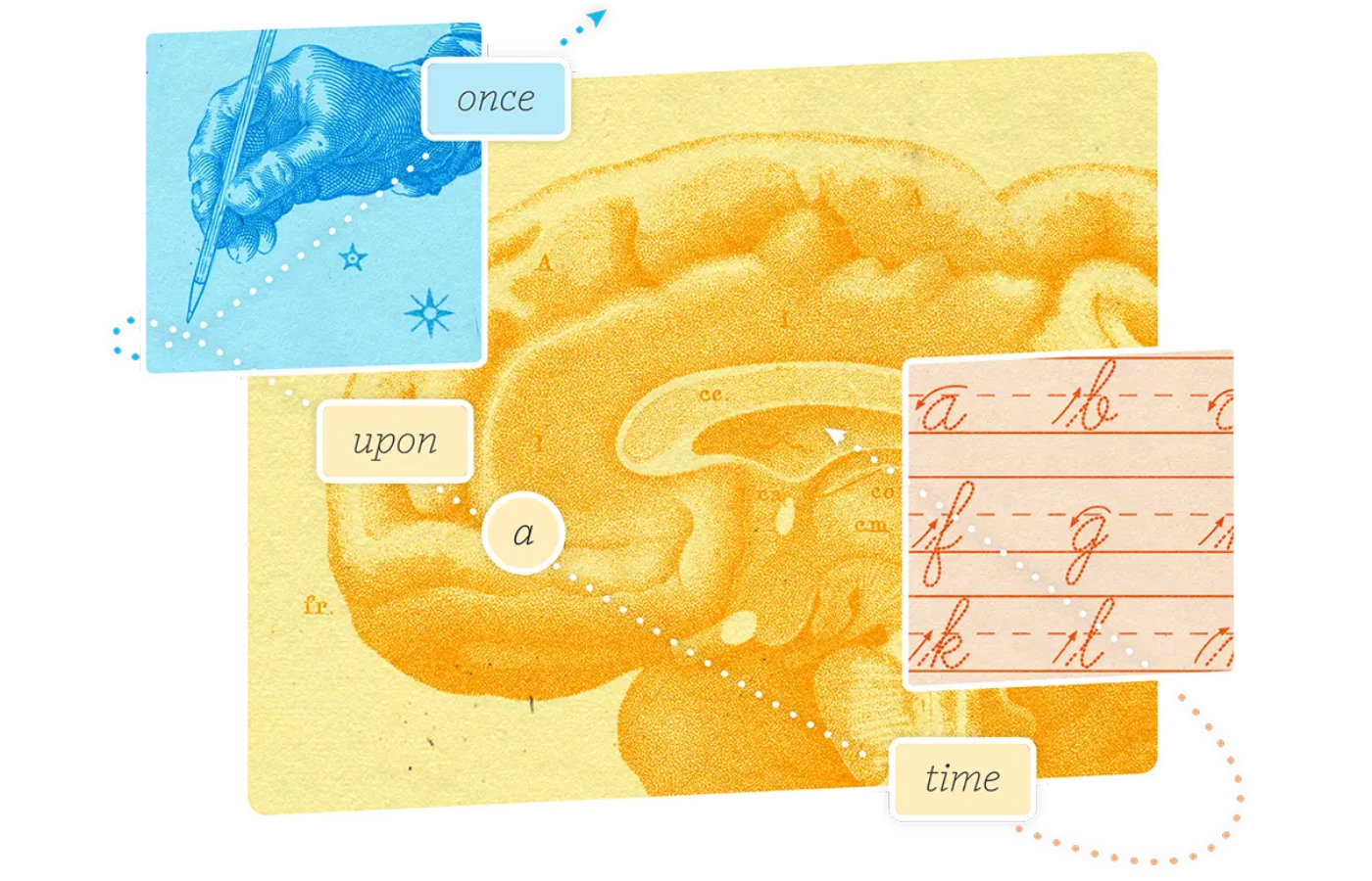 An illustration of a brain with overlays of a hand writing, cursive script, and labeled words: "once," "upon," "a," and "time"—perfect for introducing K-5 teaching resources or exploring what is the science of reading.